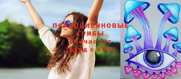молекула духа Магас