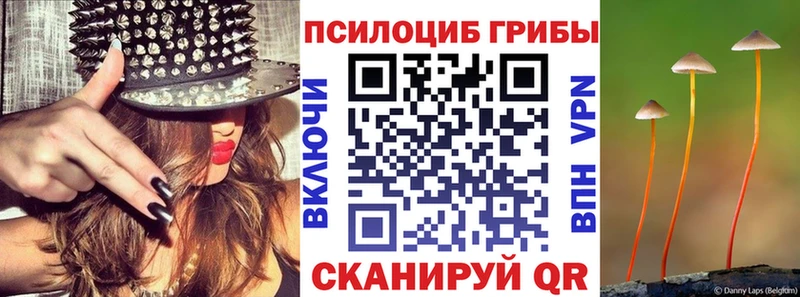 Псилоцибиновые грибы ЛСД  Купить  Холм 